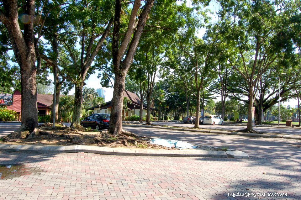DSC 0215
