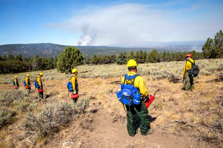 Blacklining the Trout Springs Rx Fire