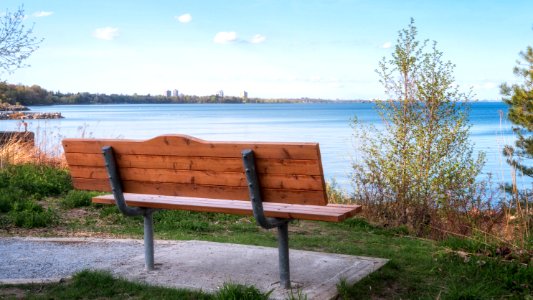 Bench with a view photo