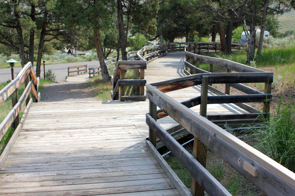 Mammoth Hot Springs Campground