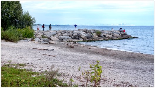 Lake Ontario, near Rattray Marsh