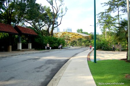 DSC 0073