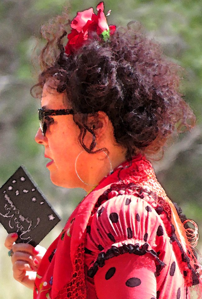 BORDERLAND FESTIVAL 2019 - Coronado National Memorial -22 - Juliana Thomas of Maha Via Flamenco - PHOTOSHOP WATERCOLOR