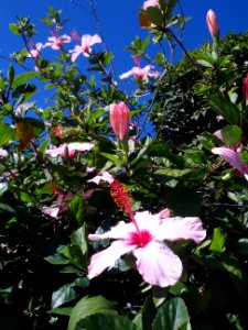 Ottobre in versione primaverile