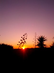 L'alba di nuovo giorno