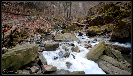 Tiffany Falls, Hamilton photo