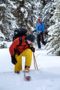 Investigating bear tracks in the Gallatin Range