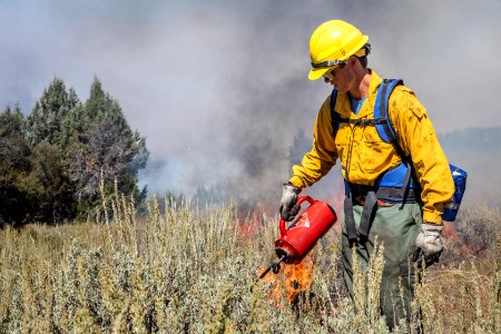 Trout Springs Rx Fire photo