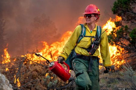 Trout Springs Rx Fire photo