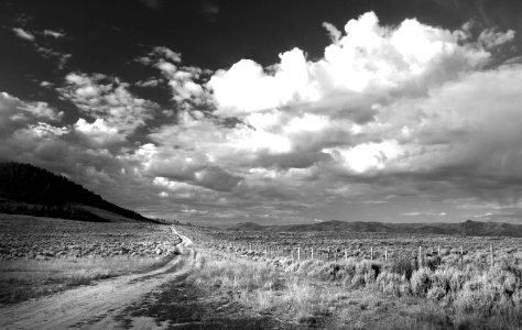 MORNING LIGHT ON SAGEBRUSH (7-12-2019) six mile campground, carbon co, wy -11 BW