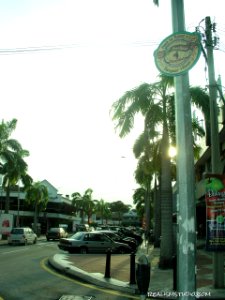 P1010058