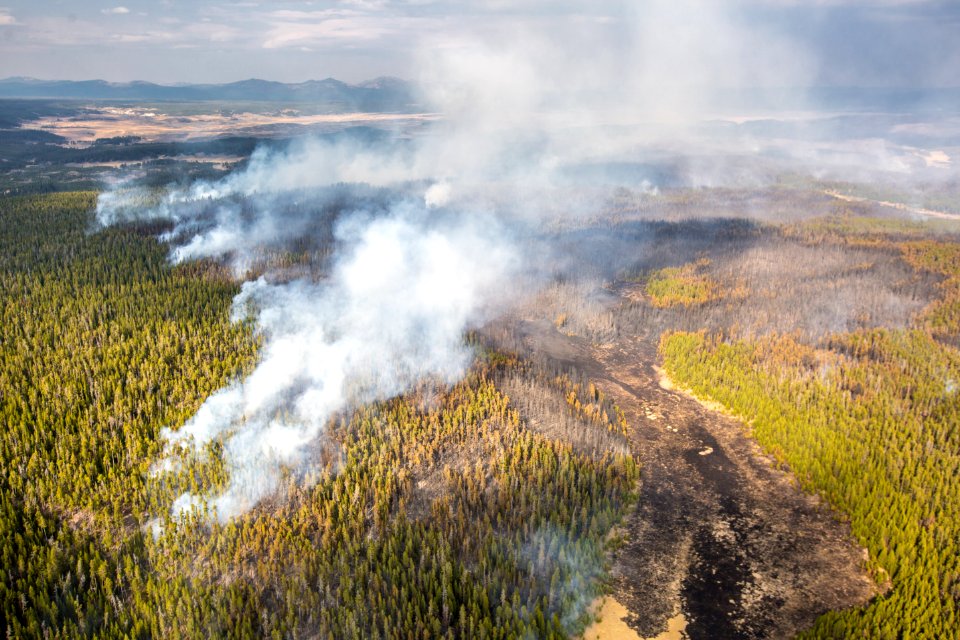 Spruce Fire burn mosaic