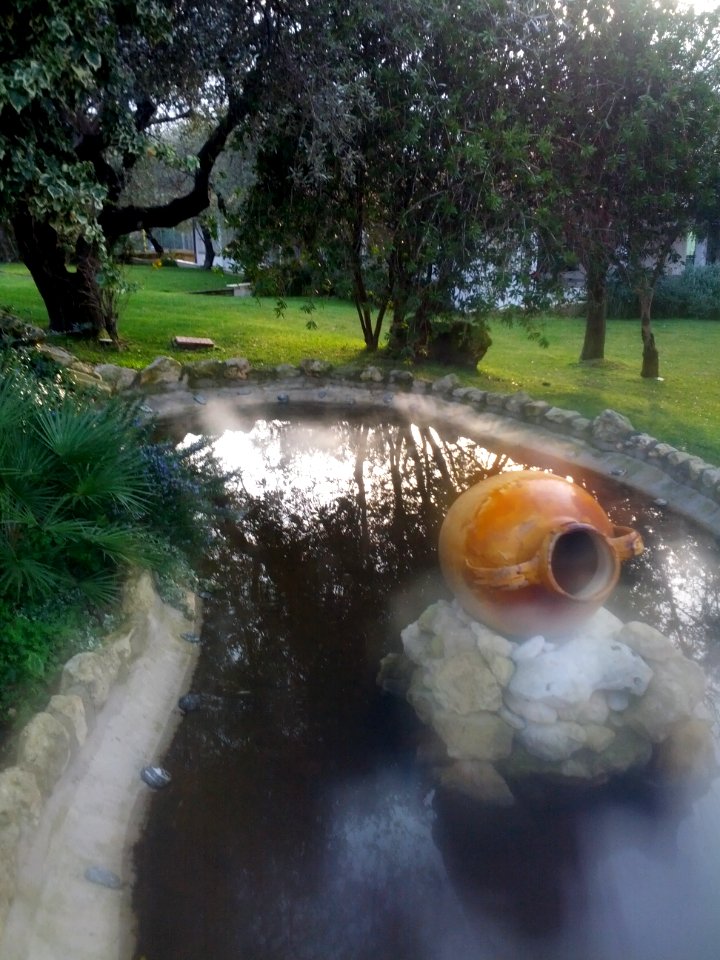 Orto degli Olivi