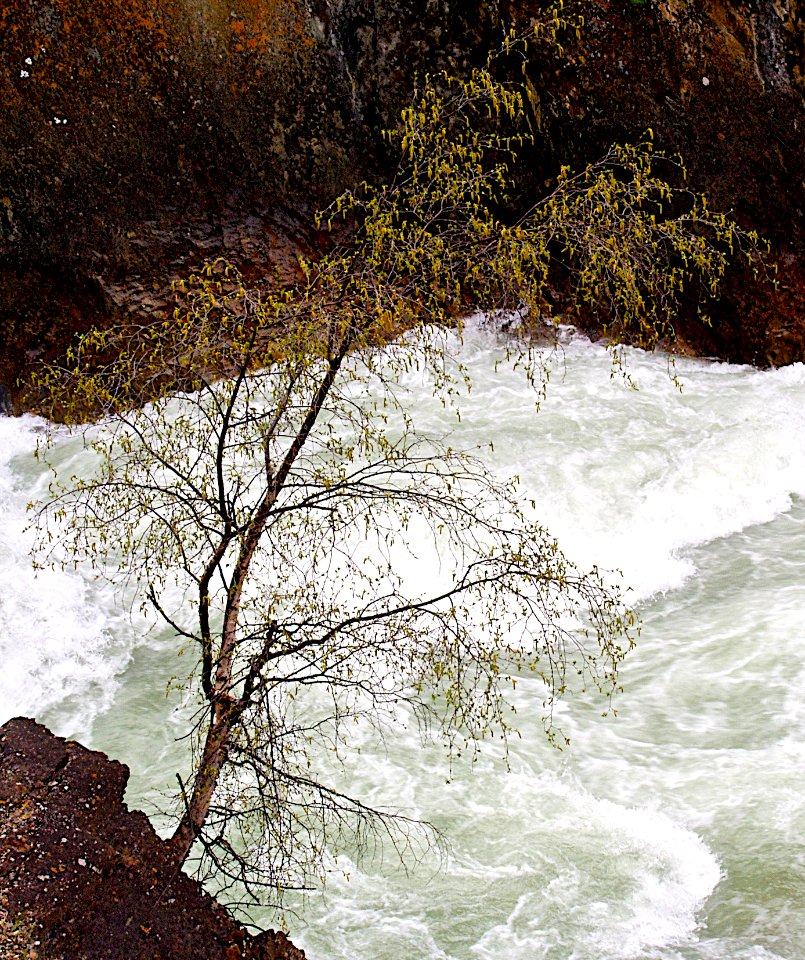 Two Sides of the Columbia River Valley