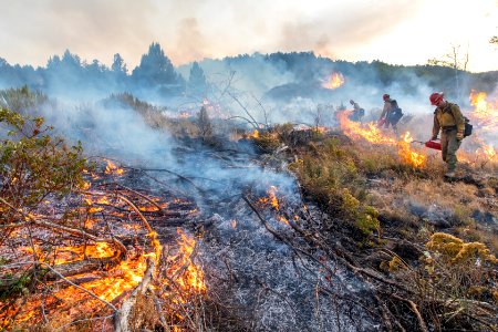 Blacklining the Trout Springs Rx Fire photo