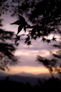 Unsplash week of May 4 2017