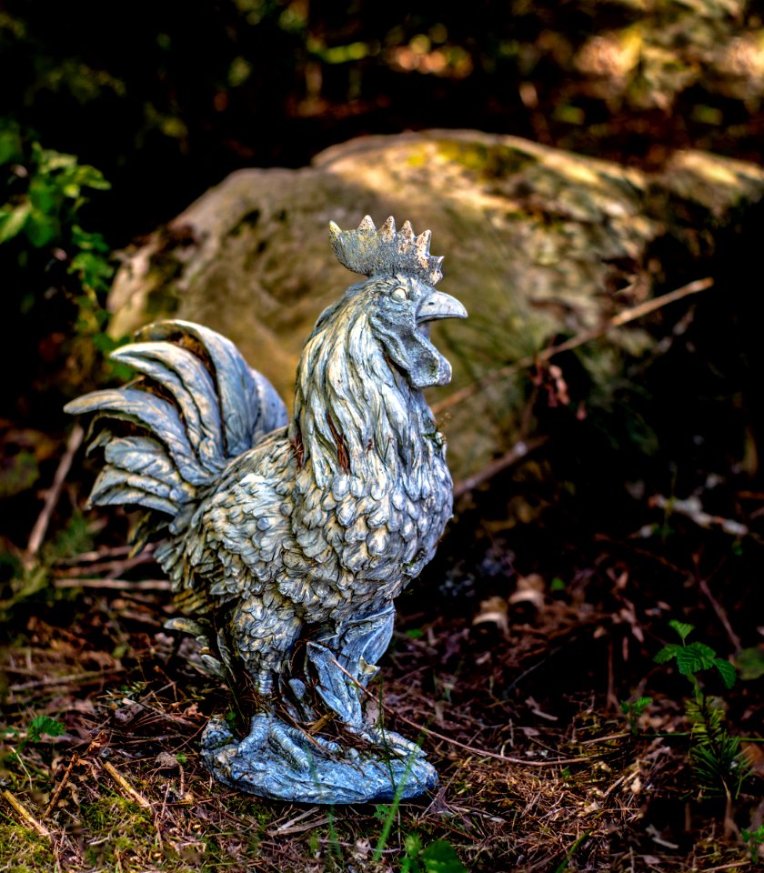 Rooster statue