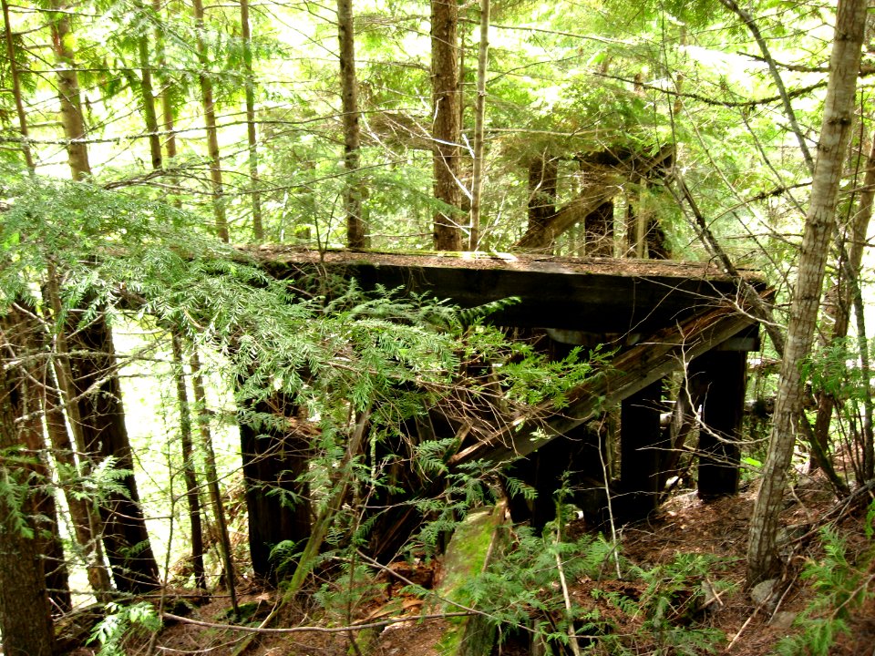 Old trestle on Galena Trail Near New Denver BC