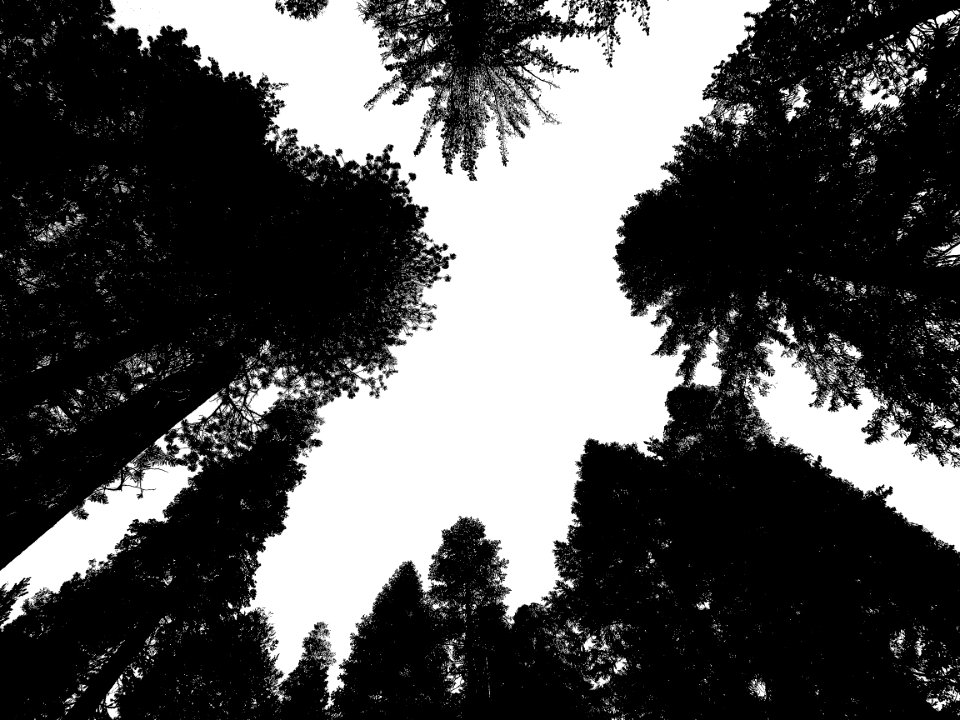 SIERRA CAMPSITE IMAGES - 1 - 05 BW3