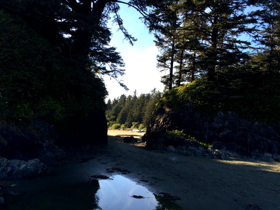 Pacific Rim National park