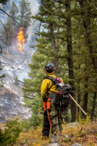 Brett Edelman, Billings Initial Attack Crew,  monitors the Buffalo Fire at Slough Creek