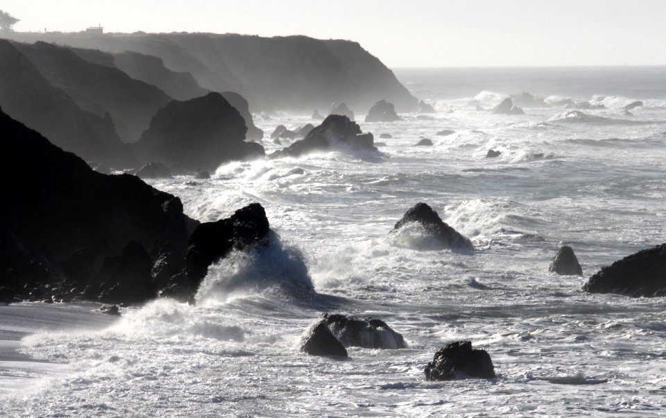 CA 0082a - NORTH COAST ( 12-31-2016) howard landing, westport-union state beach, mendocino co, ca (9)