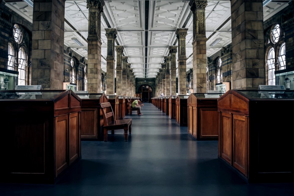 Unsplash week of October 17 2016