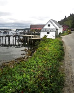 MAINE - STONINGTON, HANCOCK CO - PHOTOSHOP WATERCOLOR FILTER (17)