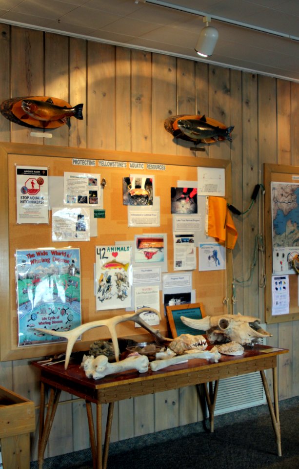 Bridge Bay Marina information about protecting aquatic resources at Marina