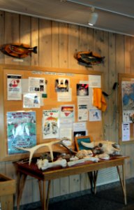 Bridge Bay Marina information about protecting aquatic resources at Marina
