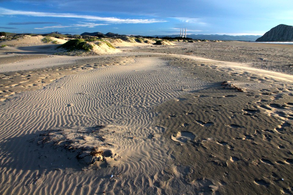 2b - MORRO STRAND (1)
