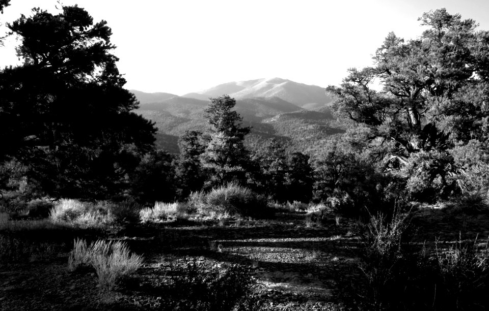 INYO BRISTLECONES & CAMPSITE (8-13-2017) - 23 BW1