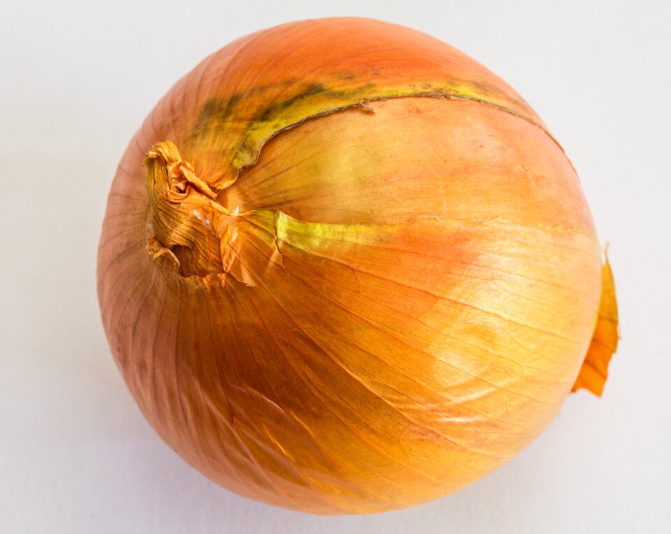 Cream onion kitchen onion gartenzwiebel