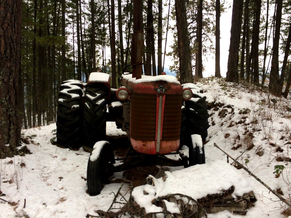 Old tractor in the woods