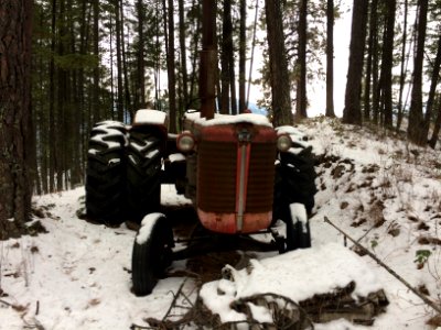 Old tractor in the woods