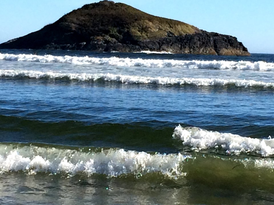 Pacific Rim National park