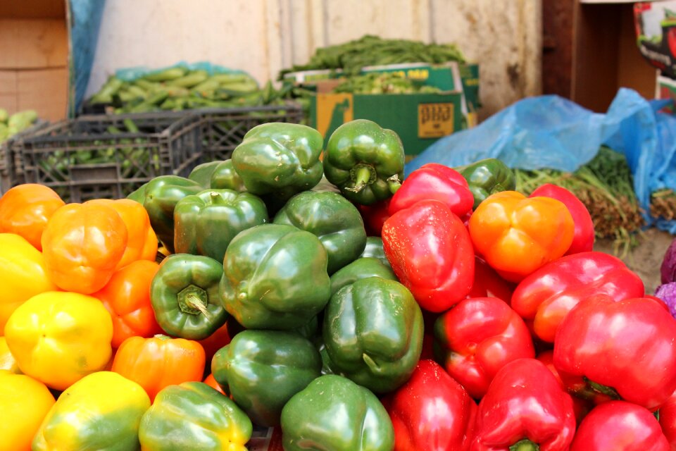 Green vegetarian vegetable