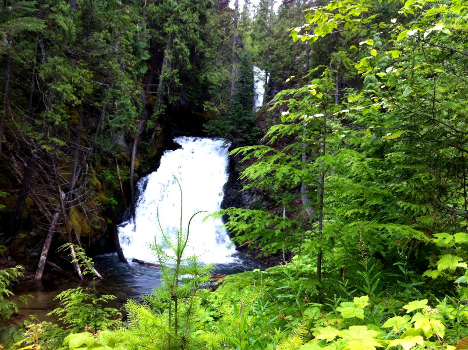 Deer Creek Falls near Syringa Provincial Park