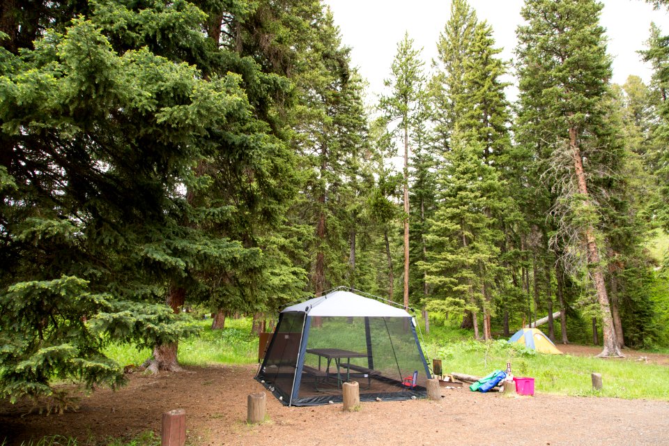 Pebble Creek Campground site