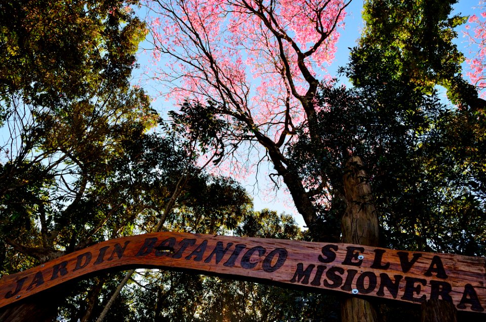Botanico esquivo