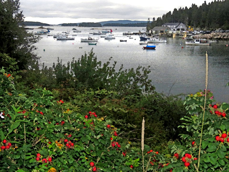 MAINE - STONINGTON, HANCOCK CO - PHOTOSHOP WATERCOLOR FILTER (14)