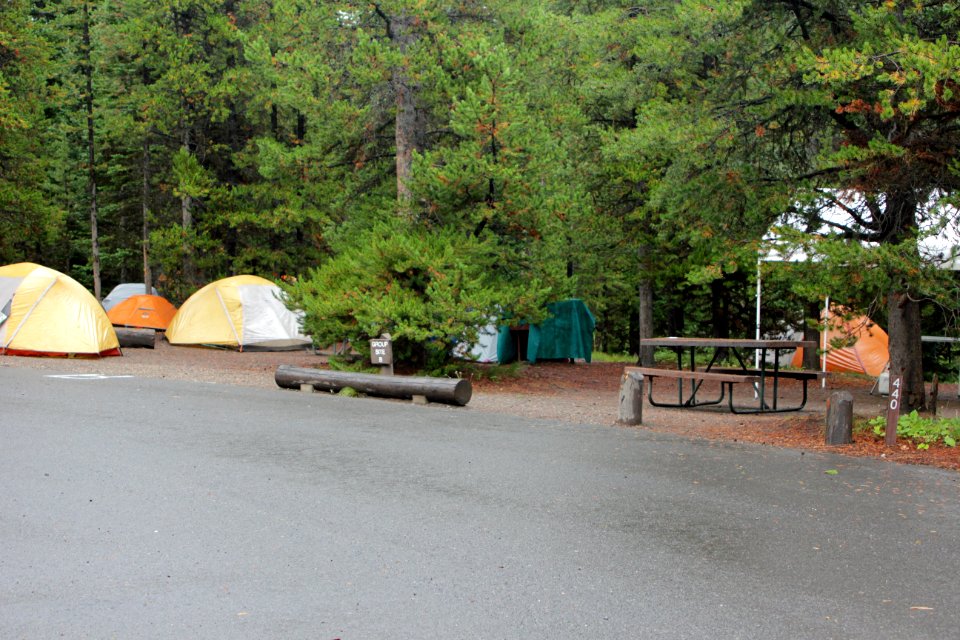 Bridge Bay Campground group site