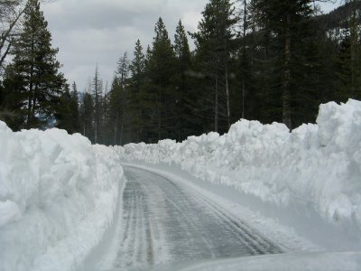 East Entrance Road, Single Cut (4) photo