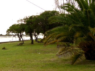 P1220527