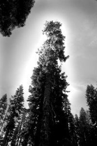 SOME CA & NV CAMPSITES (Sep 2015) -08