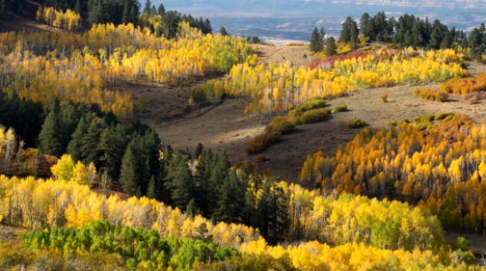 BOULDER MT, GARFIELD COUNTY, UT - 2016-09-30 fall color (3)