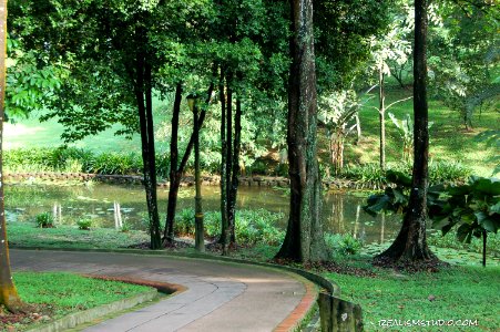 DSC 0060