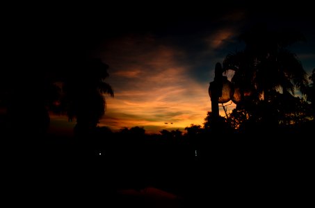 DSC 0156