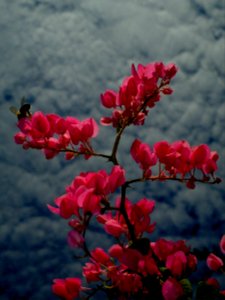 2013-03-06-395