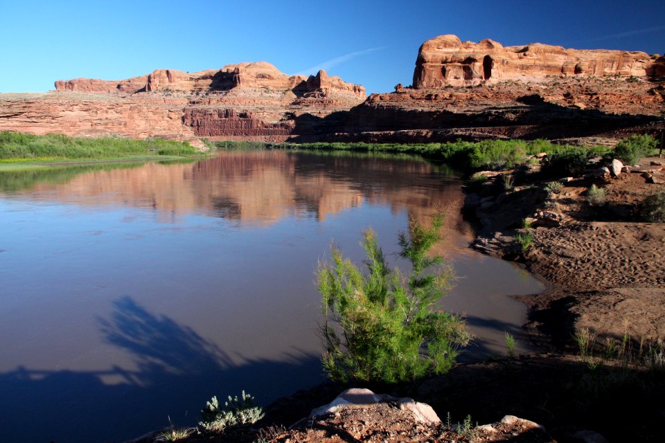 MOAB AREA, GRAND CO, UTAH - 2017 - 5 - 10 - gold bar campground, down-river from moab, utah -08